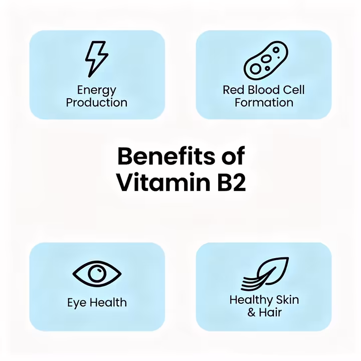 An infographic illustrating the health benefits of Vitamin B2, with icons for energy, red blood cells, eye health, and skin.